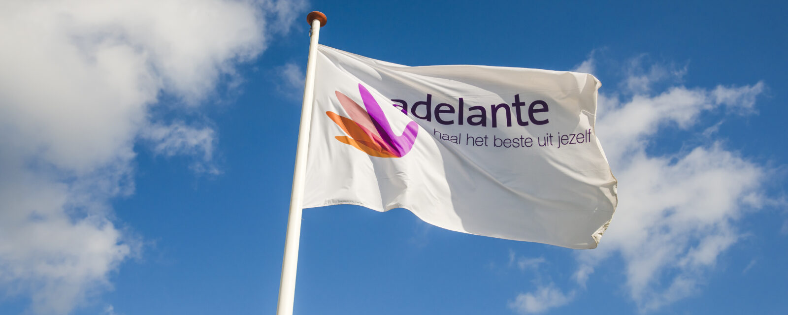 Vlag van Adelante